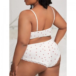 2022 Lenceria Trendy Transparent Lace Bralette Sæt Se gennem Hollow Out Hot Sexy Women Lingerie