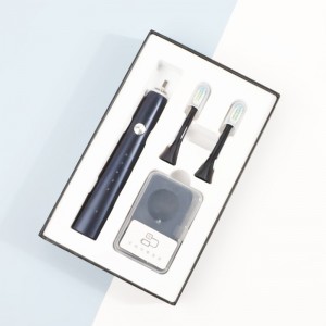 Haole OEM type C Genopladelige udskiftningshoveder Privat etiket Automatisk Sonic Electric Tandbørste