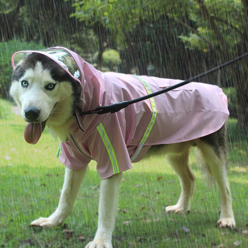 Kina Source Factory 2022ny opgradering hund regn frakke hund vandtæt dragt hund tøj