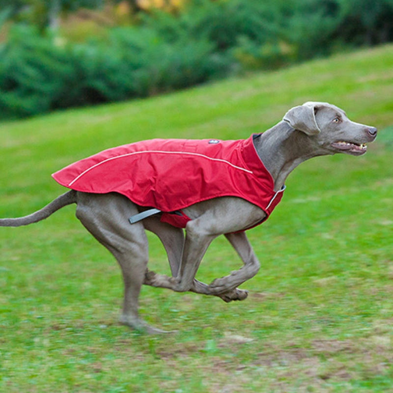 Klassisk stil reflekterende hundeklokke Vandtæt justerbar vinterhundjakke reversibel letvægts