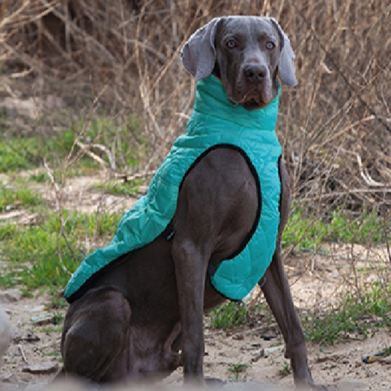 Amazon HOT SALG NYE PET Tøj Hunde Tøj Efterår og Vinter Fortykket Elastisk Sweater Pet Sweater
