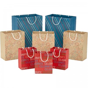 Hallmark Recyclable Gift Bag Sortiment (8 poser: 3 Small 6 \\\\ \\\
