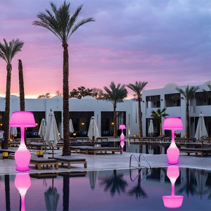 Morden stil gulvlys flerfarvet smart højttaler gulvlampe hjem stående lampe med batteri