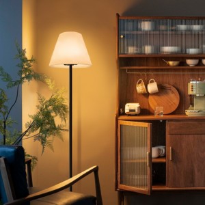 Udendørs/indoor Touch Control RGB LED -gulvlampe, moderne Europian Standing Lamps Home Decor Floor Lampe til stue, soveværelse, hotel, have, kontor (11*60,2 in)