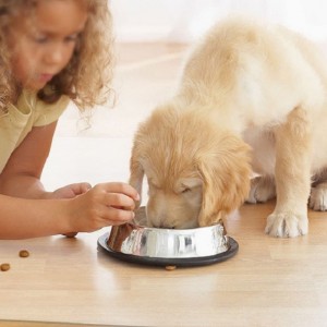 2022 Amazon Hot Salgsformand Mat til trægulvbeskyttelse Gennemsigtig PP Office Desk -stol Mat