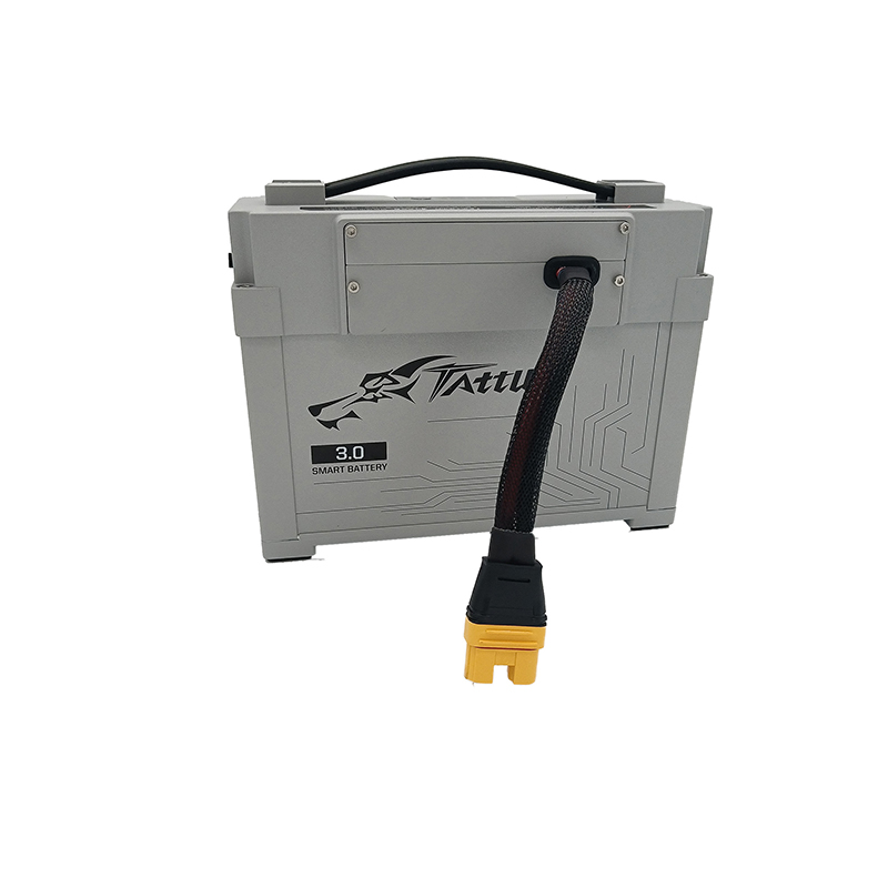 Tattu Hvert medium batteri har 22,2V 6s 15c 16000mAh Lithium Polymer Battery Pack til landbrugssprøjtningsdrone