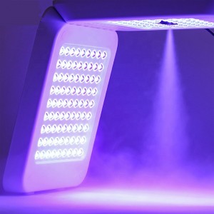 2022 Ny LED -terapi Facial Photon Therapy Lamp/PDT LED Spray Omega Light Machine til Nano Water Supplement, hudforyngelse, acne Fjern