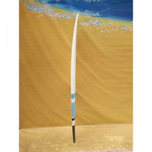 Epoxy surfbrætter tilpassede korte tavler