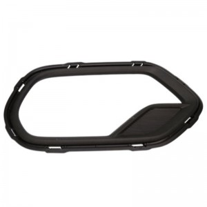 To-farvedannende skimmel 6