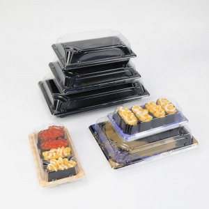 Engros takeway miljøvenlig disponibel brugerdefineret plast japansk sushi boks