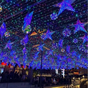 Ferie udendørs Garland Lighting Christmas Lights Wedding Party Decorations førte RGB Fairy String Light