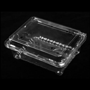 Frugtboks med låg 175*137*75 mm HGF-500m