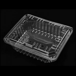 Frugtboks med låg 225*185*80 mm HGF-1000C