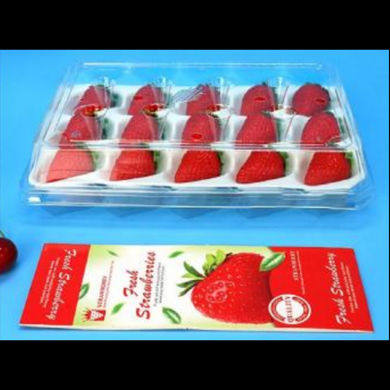 Strawberry Box (15 jordbær) 225*120*40 mm cm-15