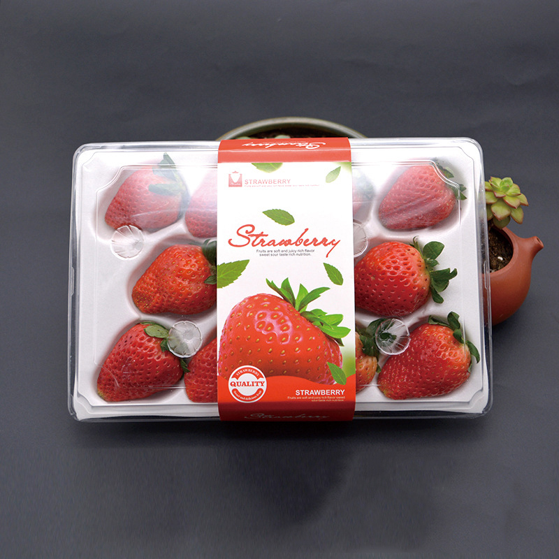 Strawberry Box (11 jordbær) 225*120*40 mm cm-11