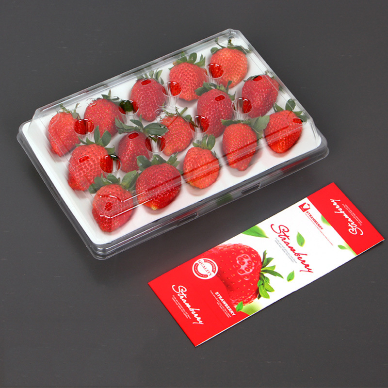 Strawberry Box (15 jordbær) 225*120*40 mm cm-15