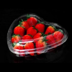 Cardioid Box Gennemsigtigt låg 185*45 mm