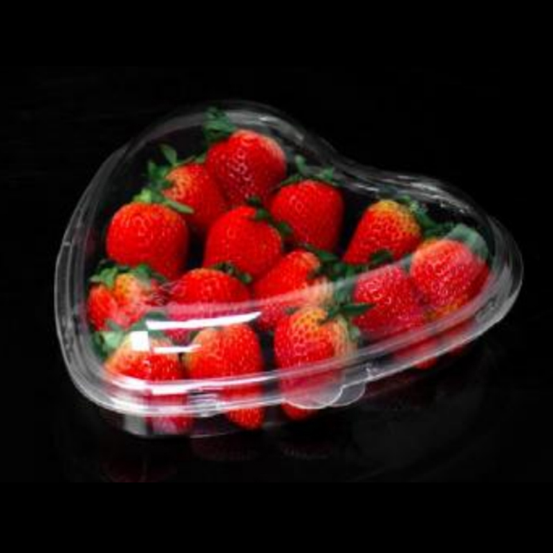 Cardioid Box Gennemsigtigt låg 185*45 mm