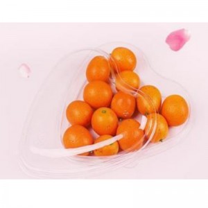 Cardioid Box Transparent bund 185*45 mm