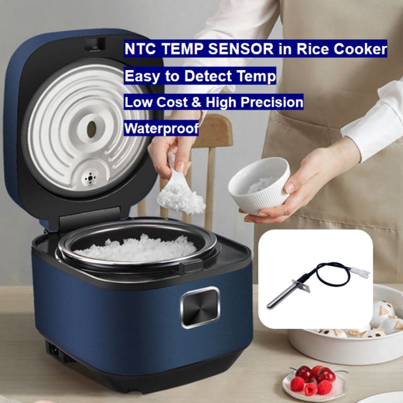 NTC termistor temperatursensor i riskoger