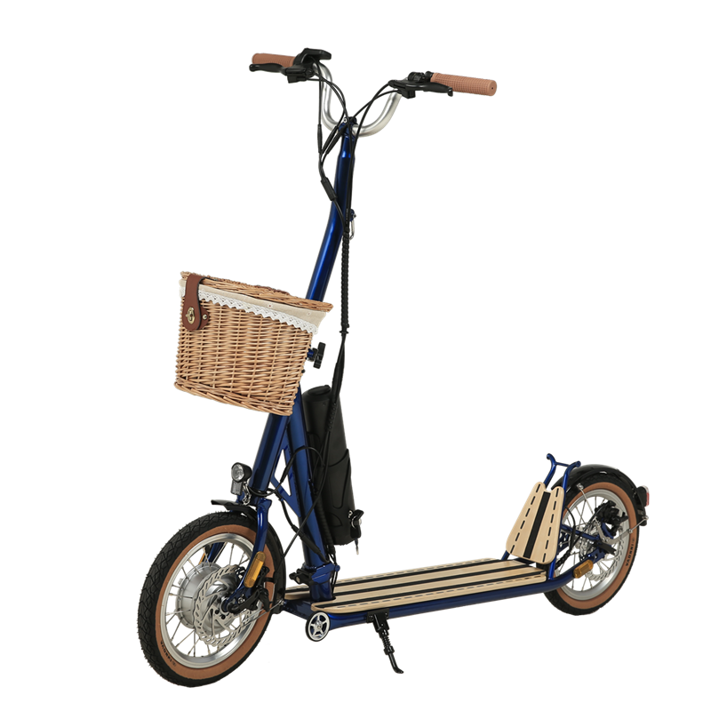 H10- 14 tommer dobbelt foldning Machanism Electric Scooter