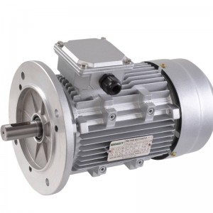 Elektrisk motorisk magnet