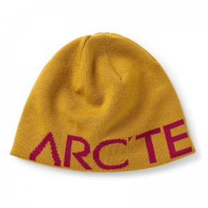 Brugerdefineret Jacquard -logo herre beanie caps uld vinterhatte
