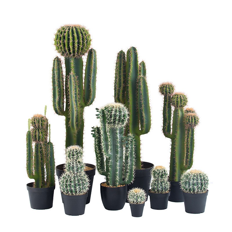 Brugerdefineret dekorativ faux kaktusplanter i stor størrelse i stor størrelse