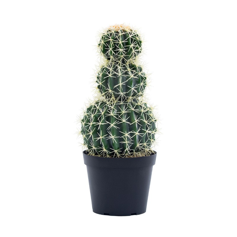 Brugerdefineret dekorativ faux kaktusplanter i stor størrelse i stor størrelse