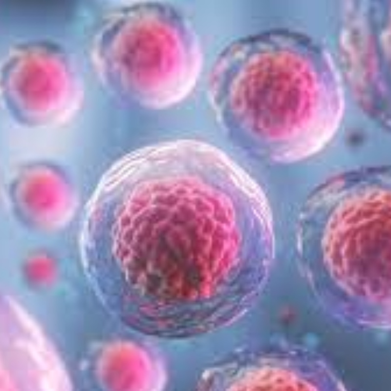 NMN forbedrer vækst og migration af stamceller