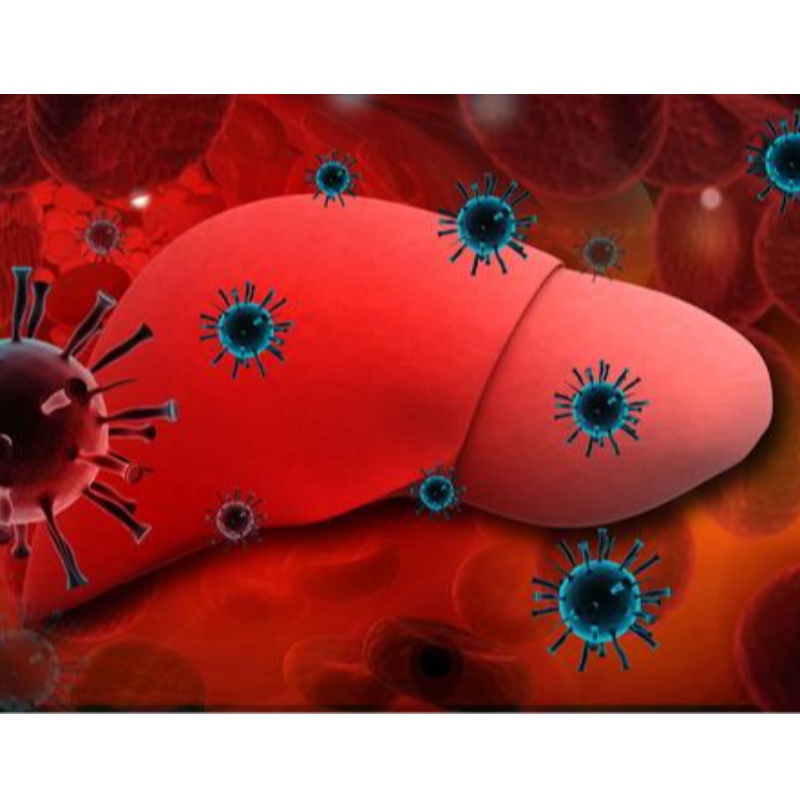 University of Parma: NMN forbedrer kronisk hepatitis B