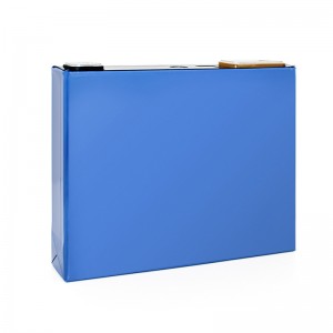 GOTION 3.2V 50A LIFEPO4 Prismatic Cell Solar Energy Storage Systems genoplad lithiumbatteri