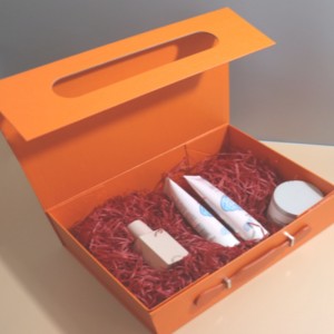 Bærbar multifunktionel emballageboks