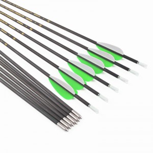 119673 30T High Modulus ID3.2mm Pure Carbon Arrows